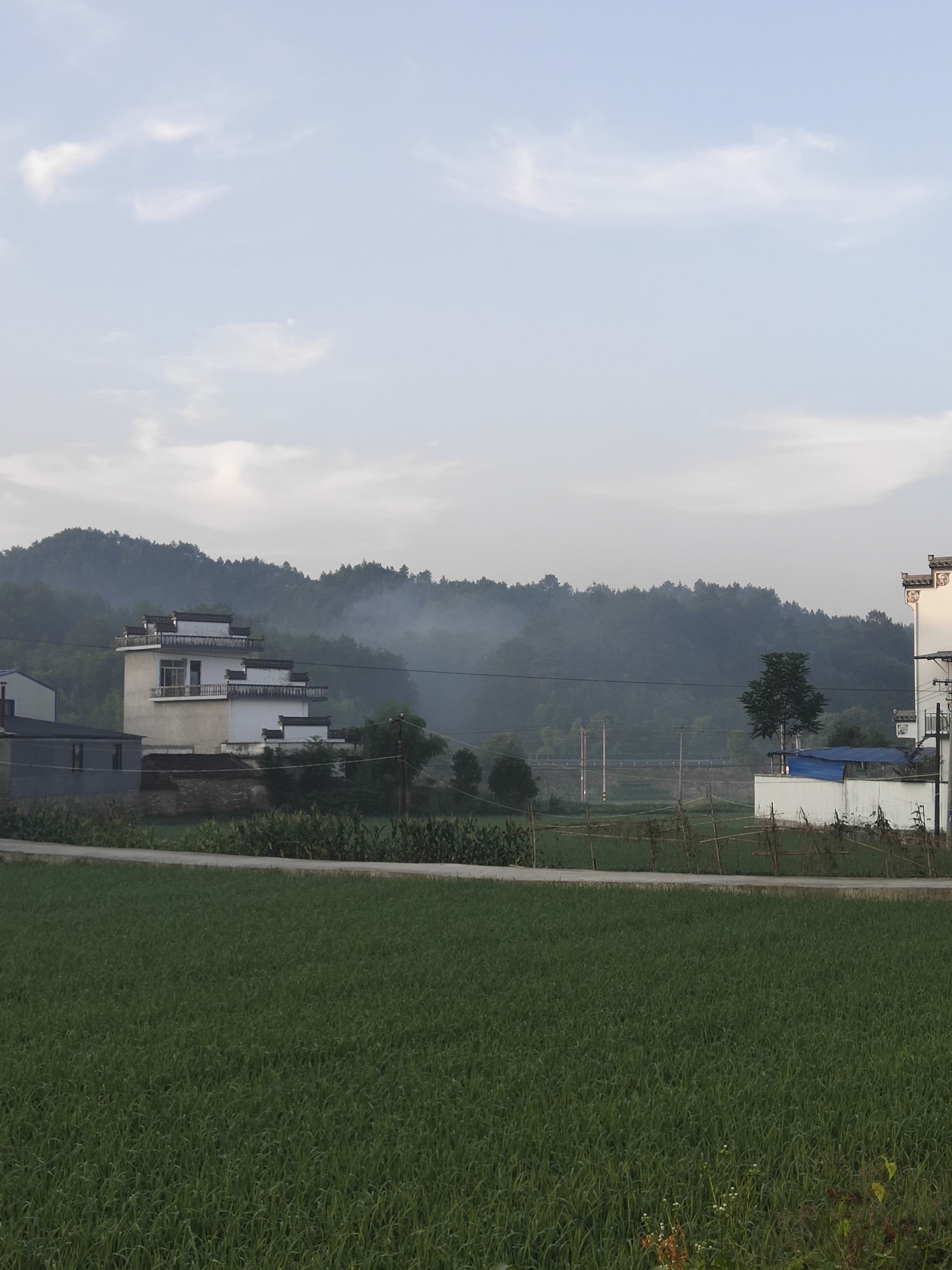 歙县王村镇横关村,有人焚烧垃圾,对环境造成严重污染