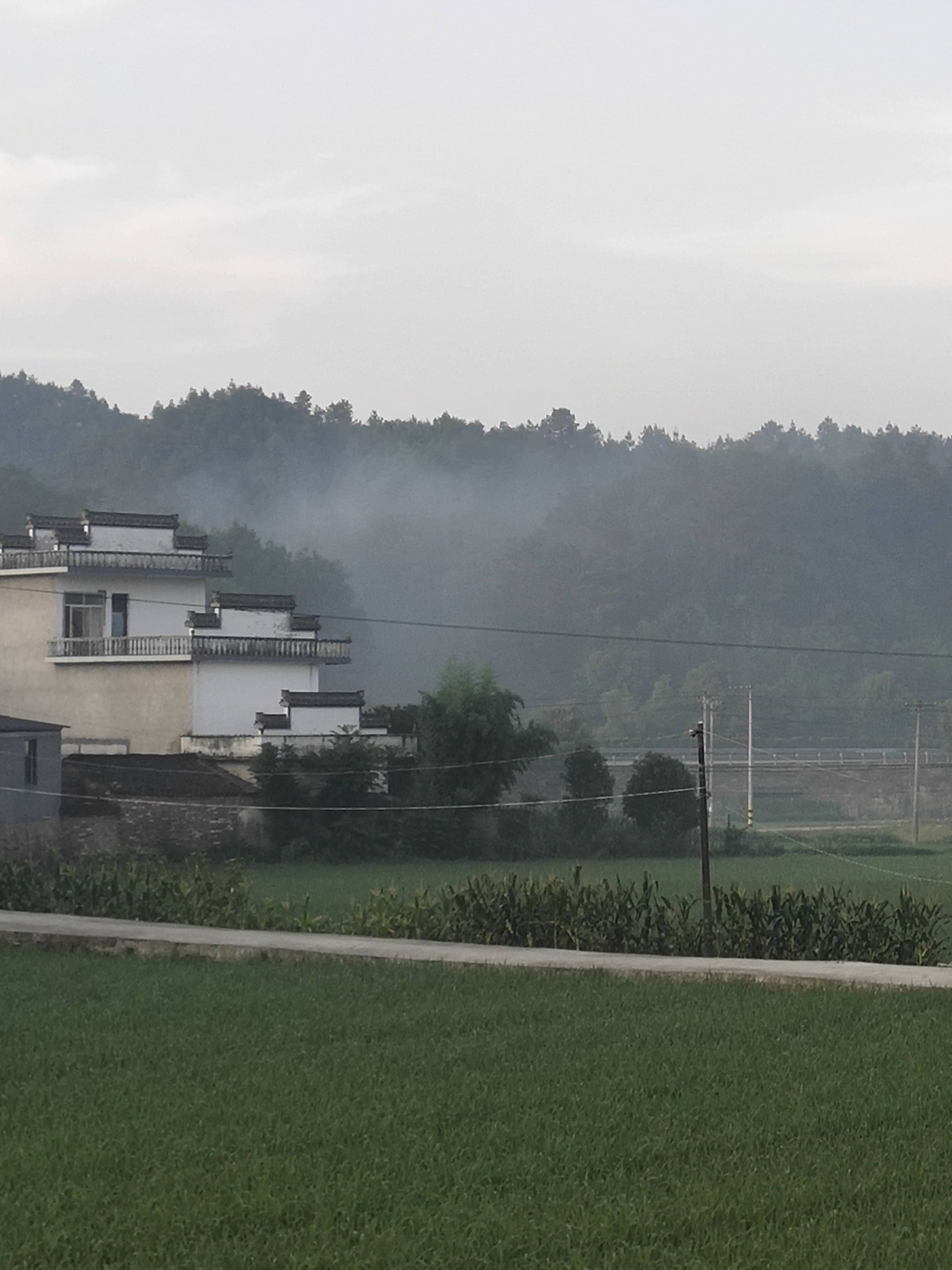 歙县王村镇横关村,有人焚烧垃圾,对环境造成严重污染