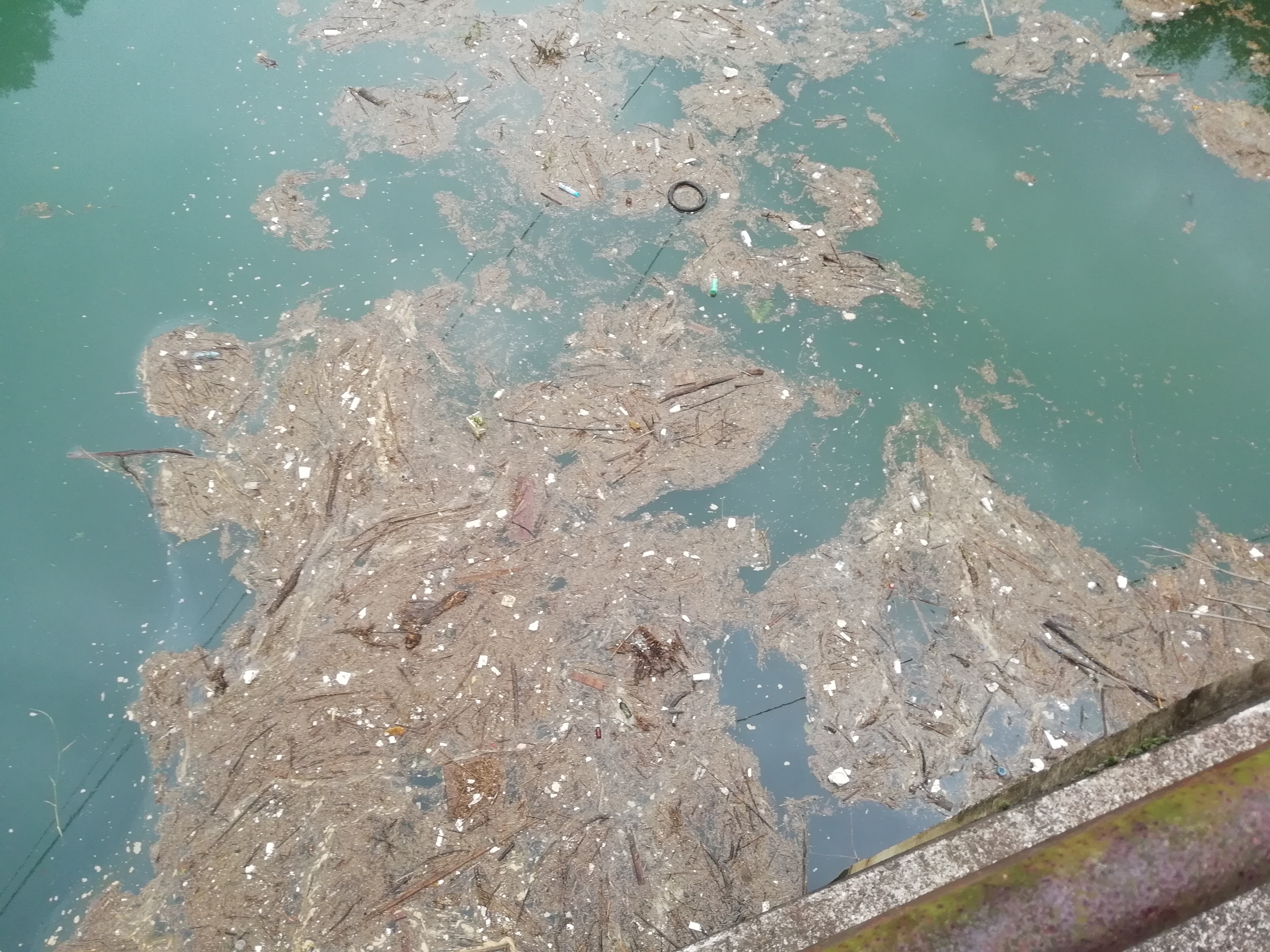 在富溪发现大量的白色垃圾其它东西浮在水面上,还发出刺鼻的臭味!