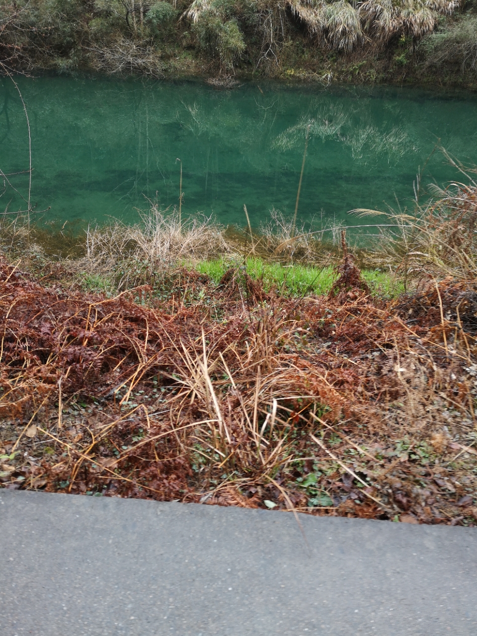 黟县美溪乡兰湖村牛鼻坑道路狭窄,村民不便出行!望重视