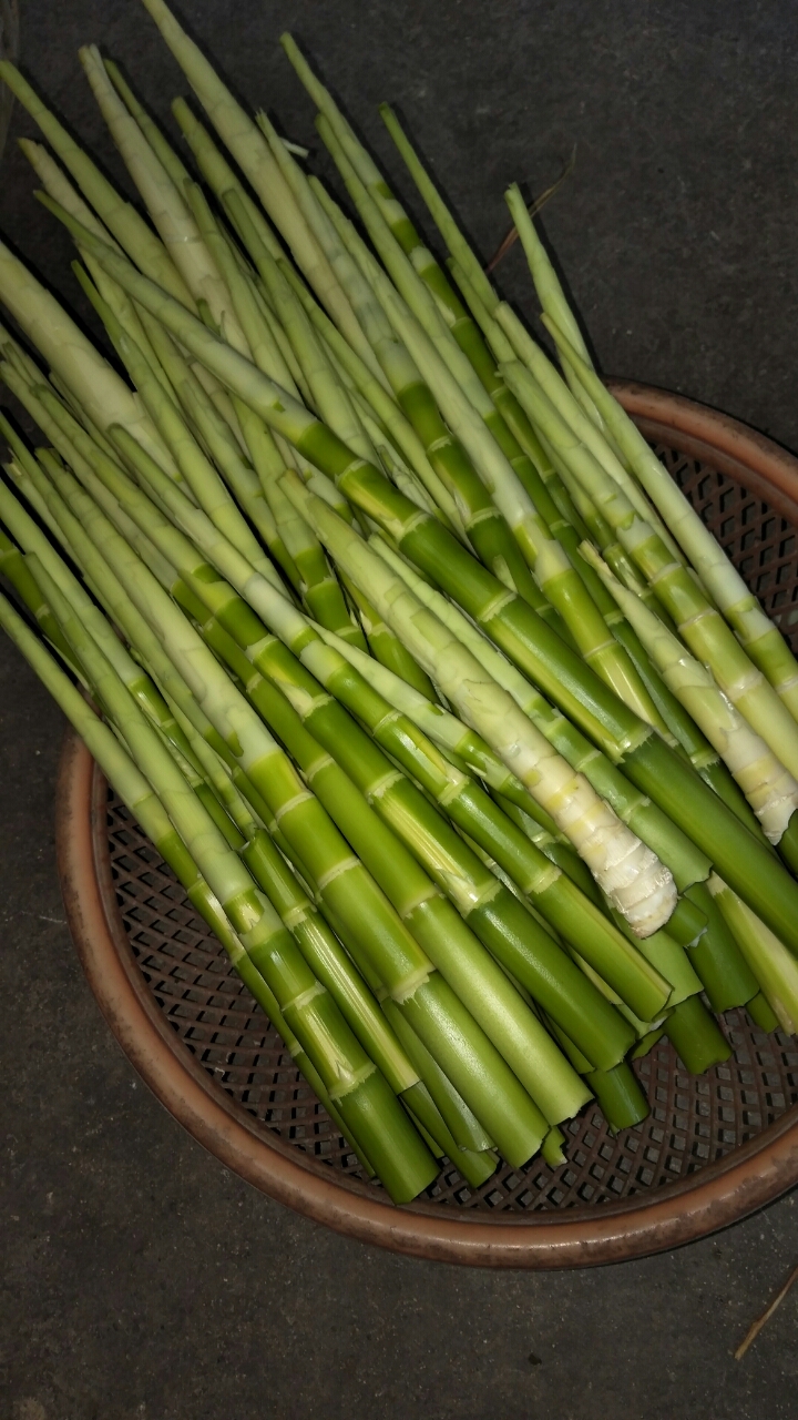 来自长陔s丫xrv的网友圈