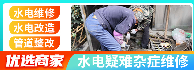 分类信息