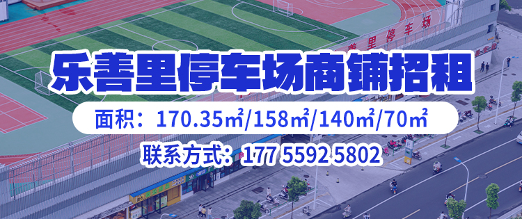分类信息