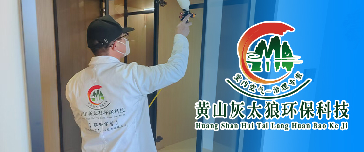 分类信息