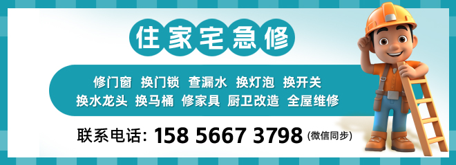 分类信息