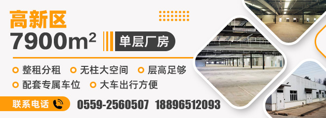 分类信息